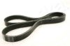 ASHIKA 112-5PK1125 V-Ribbed Belts